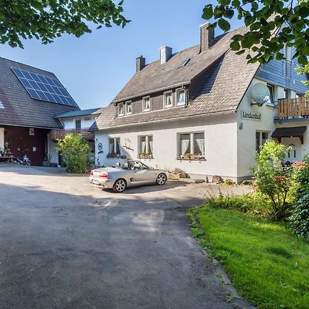 Ferienwohnungen Lindenhof Willingen  Exteriör bild