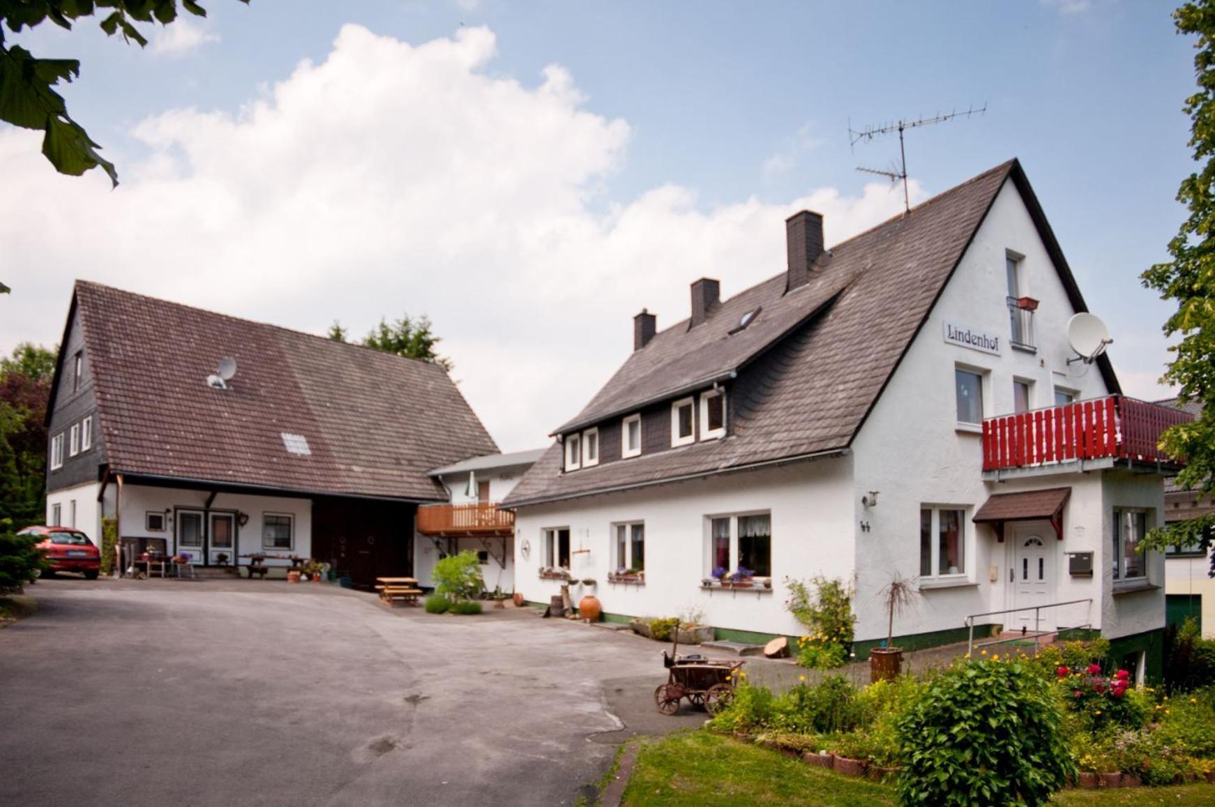 Ferienwohnungen Lindenhof Willingen  Exteriör bild